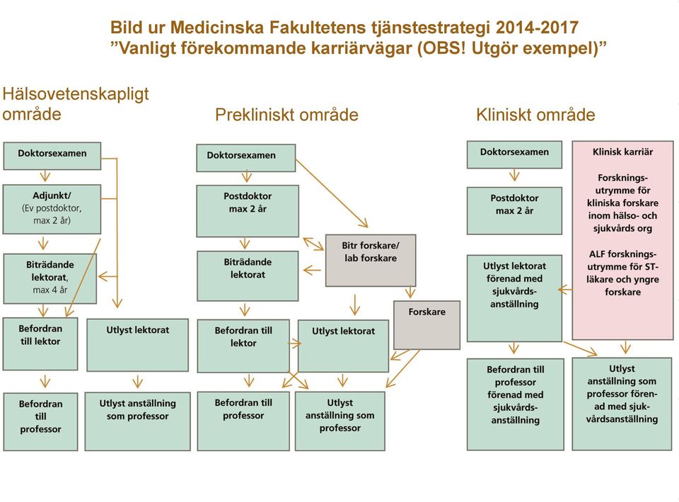 förekommande karriärvägar (OBS!