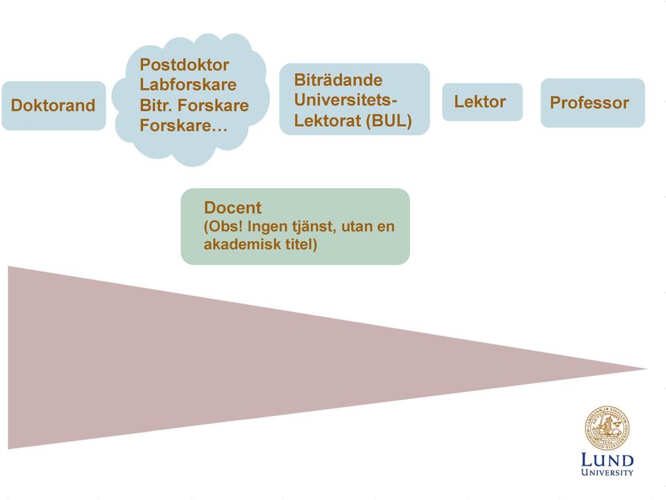 Universitets- Lektorat (BUL) Lektor