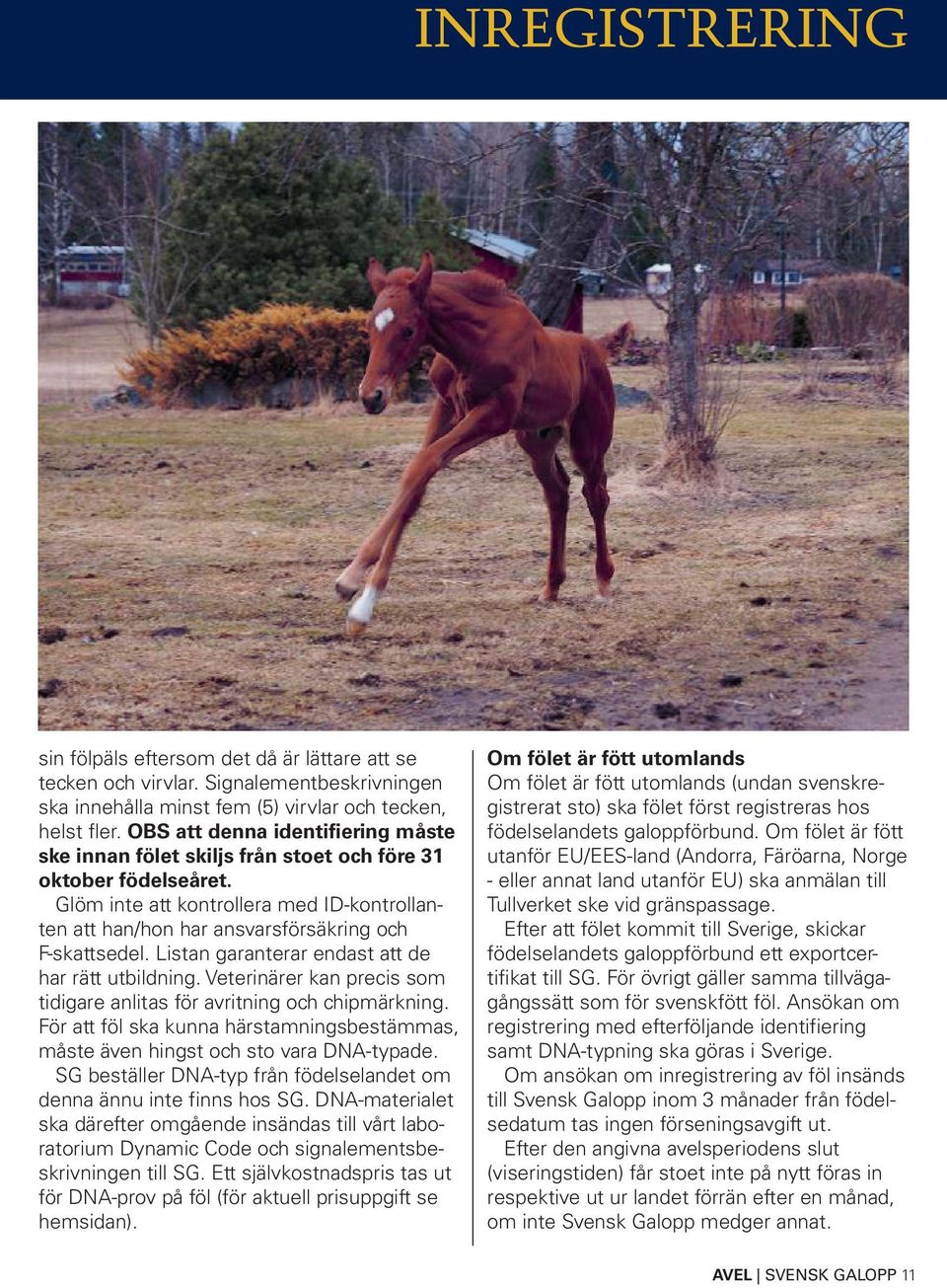 Listan garanterar endast att de har rätt utbildning. Veterinärer kan precis som tidigare anlitas för avritning och chipmärkning.