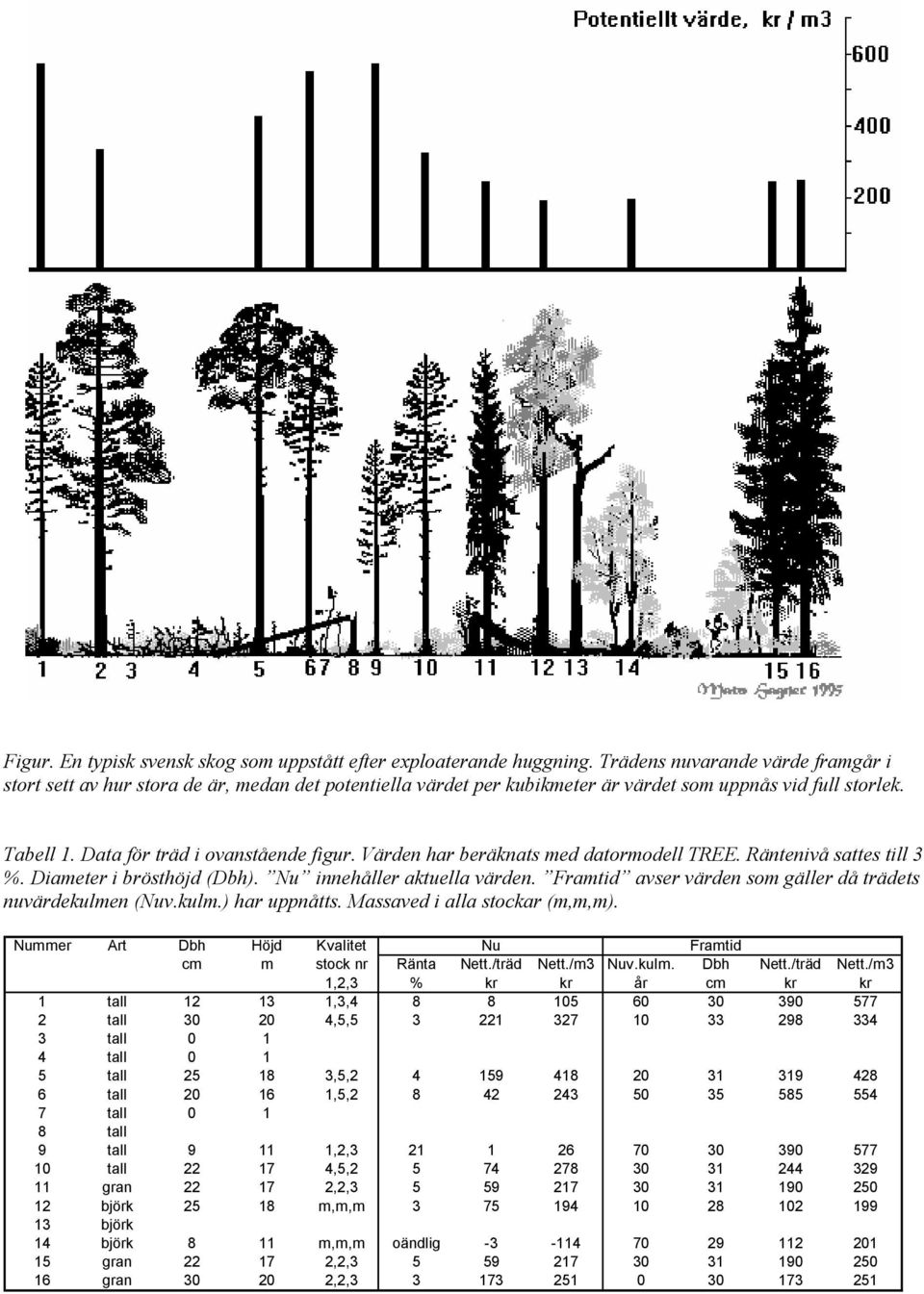 Värden har beräknats med datormodell TREE. Räntenivå sattes till 3 %. Diameter i brösthöjd (Dbh). Nu innehåller aktuella värden. Framtid avser värden som gäller då trädets nuvärdekulmen (Nuv.kulm.) har uppnåtts.