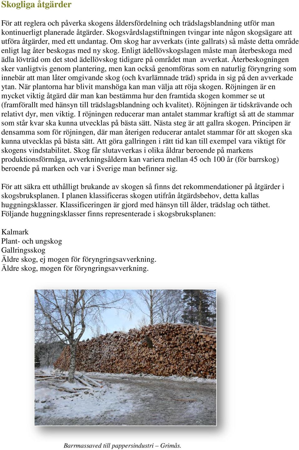 Enligt ädellövskogslagen måste man återbeskoga med ädla lövträd om det stod ädellövskog tidigare på området man avverkat.