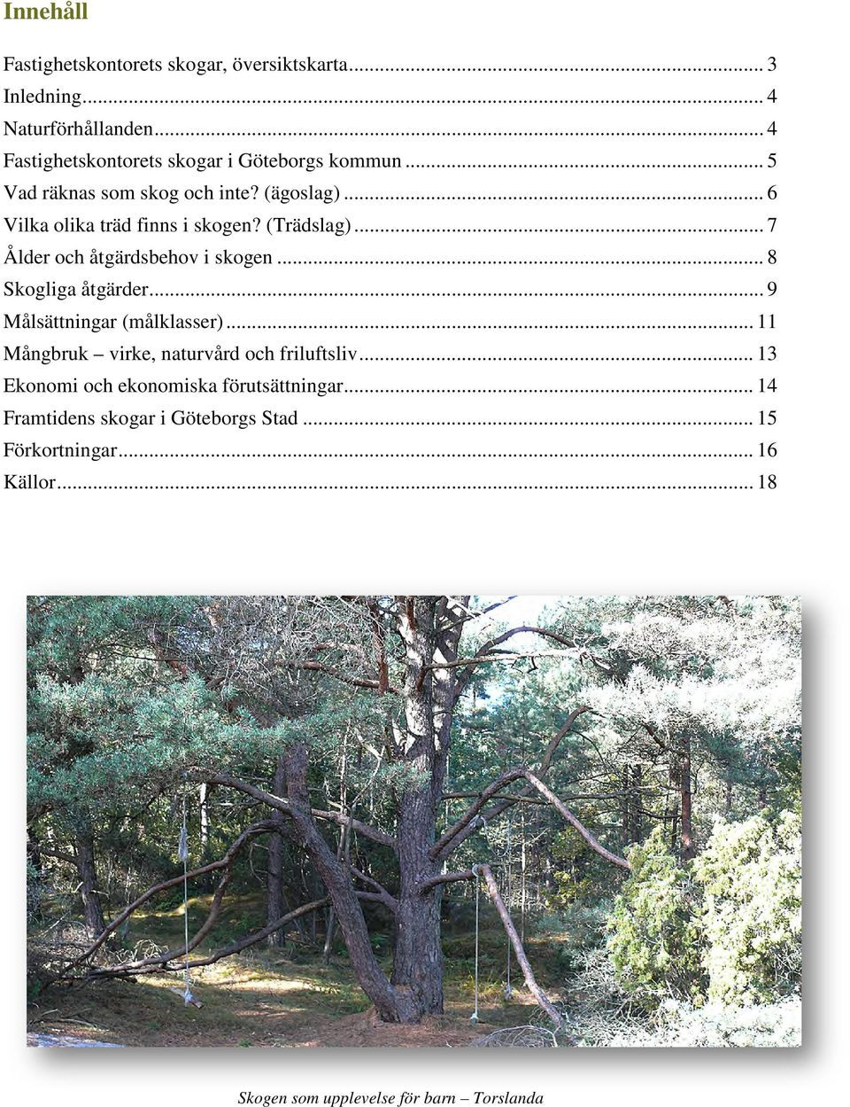 (Trädslag)... 7 Ålder och åtgärdsbehov i skogen... 8 Skogliga åtgärder... 9 Målsättningar (målklasser).