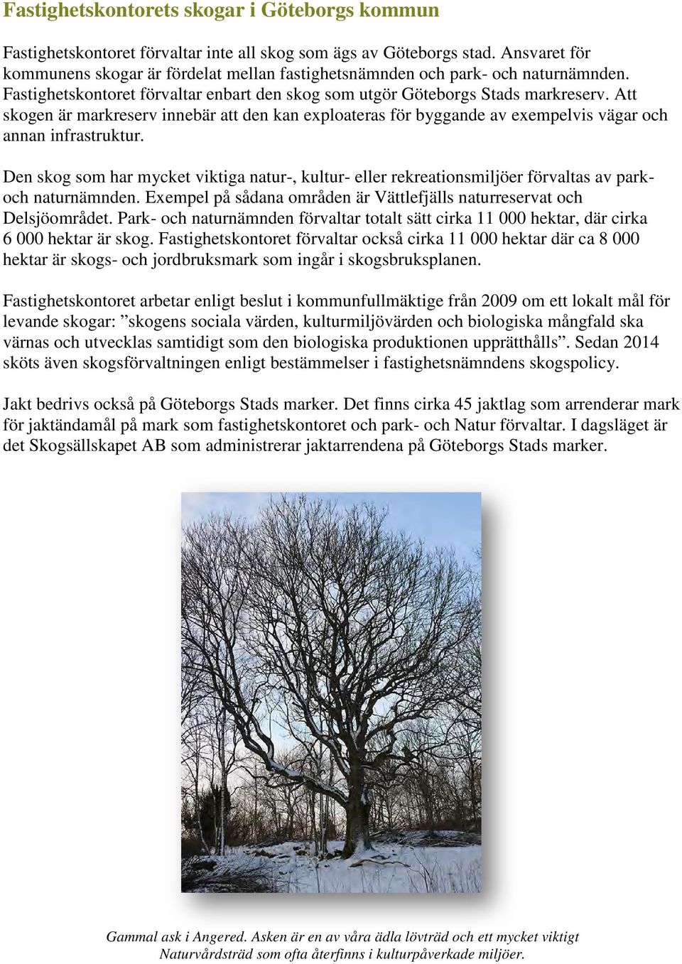 Att skogen är markreserv innebär att den kan exploateras för byggande av exempelvis vägar och annan infrastruktur.