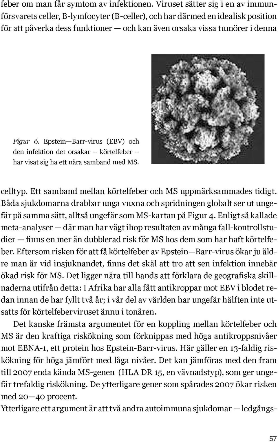 Epstein Barr-virus (EBV) och den infektion det orsakar körtelfeber har visat sig ha ett nära samband med MS. celltyp. Ett samband mellan körtelfeber och MS uppmärksammades tidigt.