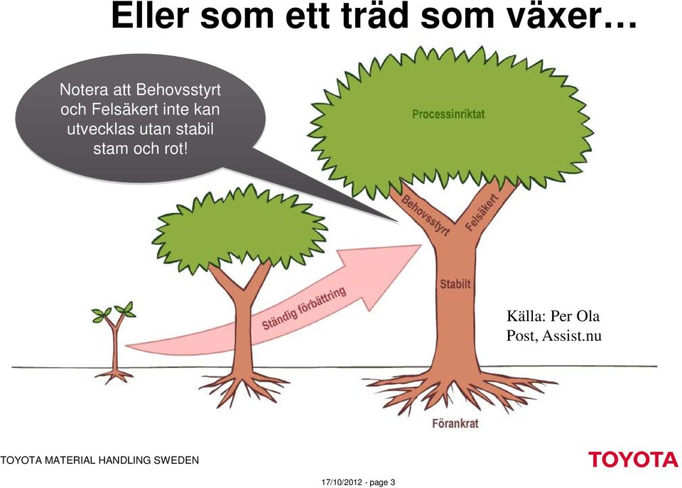 utvecklas utan stabil stam och rot!