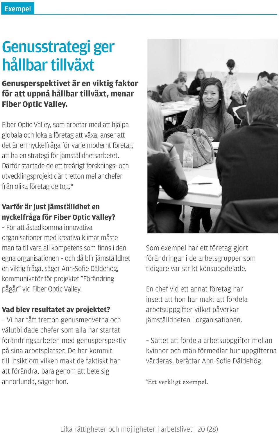 Därför startade de ett treårigt forsknings- och utvecklingsprojekt där tretton mellanchefer från olika företag deltog.* Varför är just jämställdhet en nyckelfråga för Fiber Optic Valley?