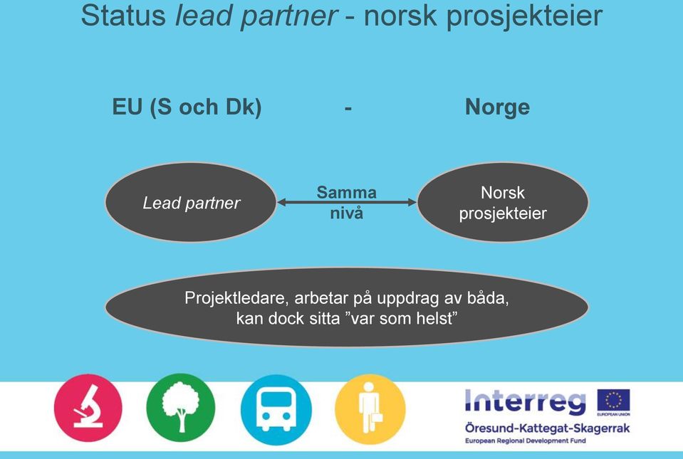 Norsk prosjekteier Projektledare, arbetar på