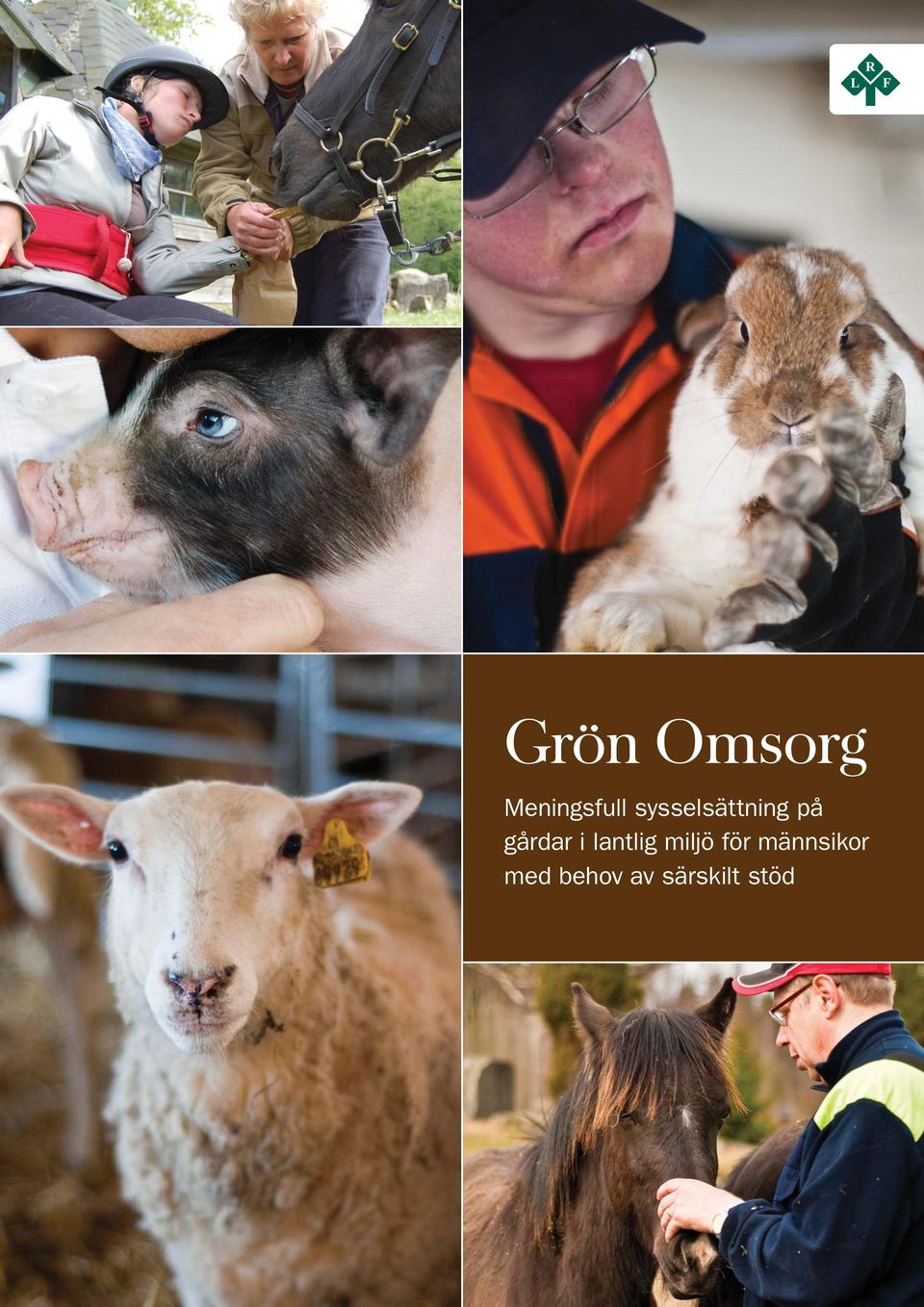 lantlig miljö för