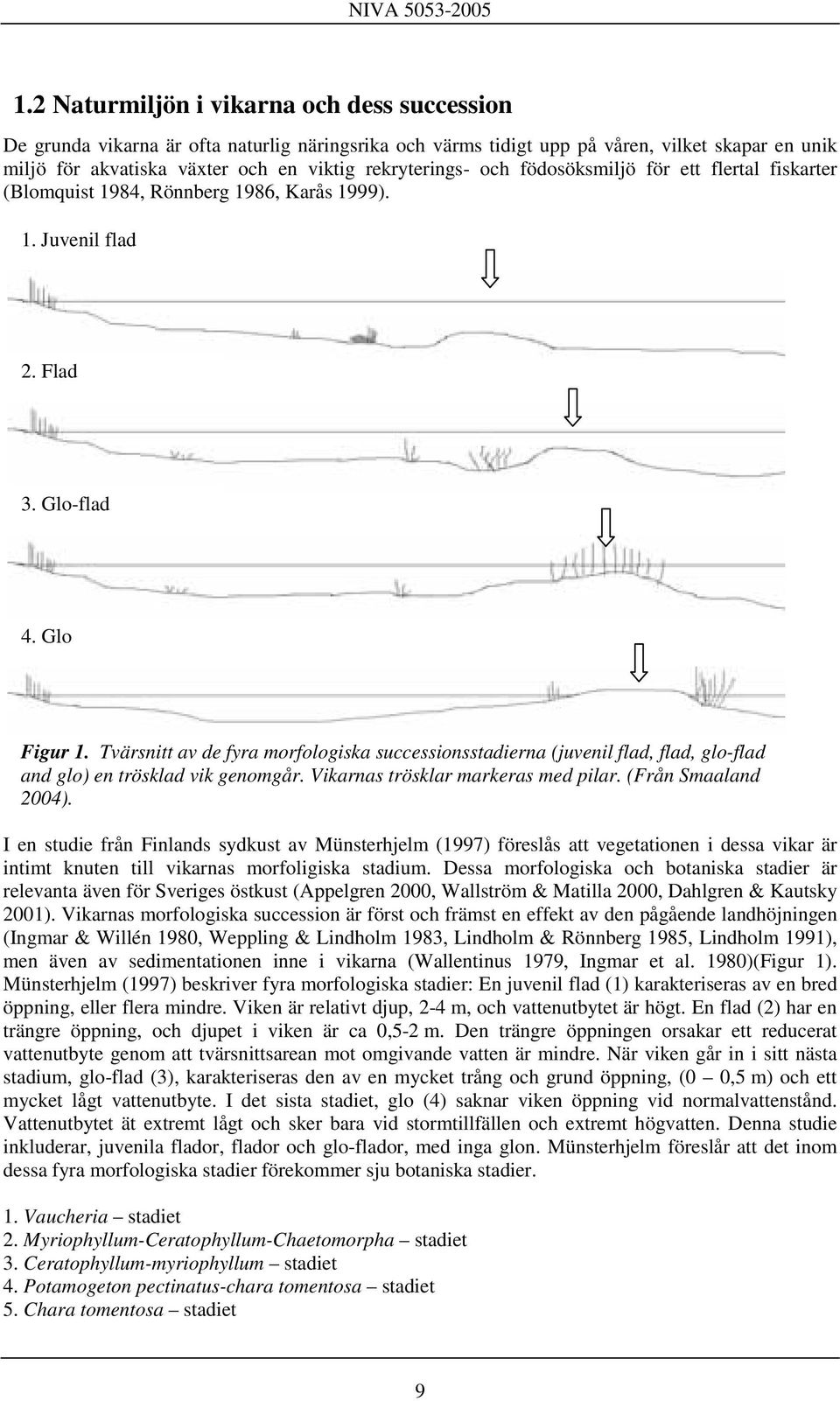 Tvärsnitt av de fyra morfologiska successionsstadierna (juvenil flad, flad, glo-flad and glo) en trösklad vik genomgår. Vikarnas trösklar markeras med pilar. (Från Smaaland 2004).
