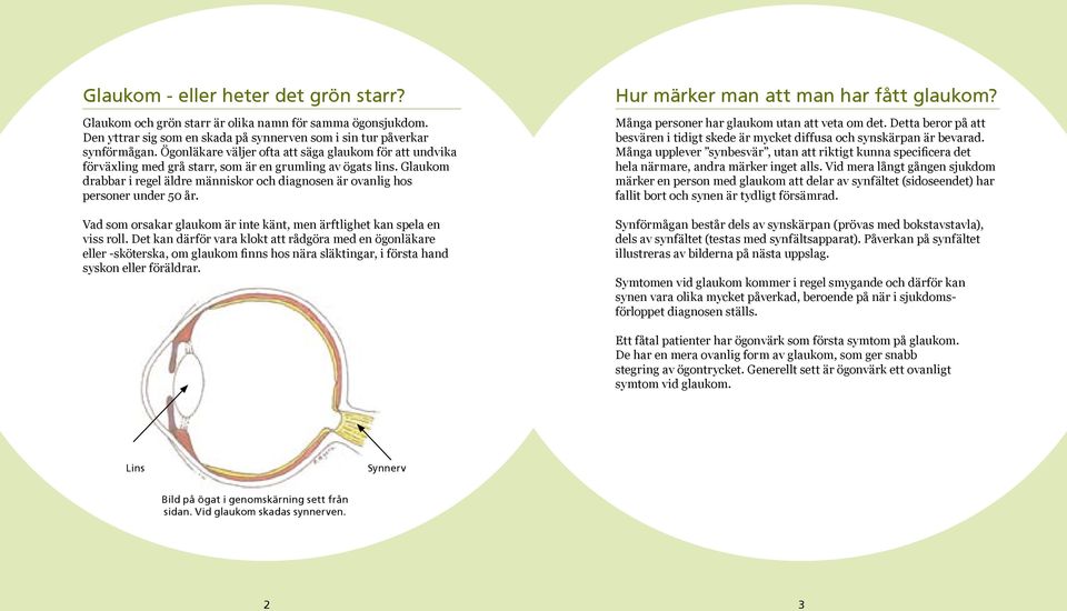 Glaukom drabbar i regel äldre människor och diagnosen är ovanlig hos personer under 50 år. Vad som orsakar glaukom är inte känt, men ärftlighet kan spela en viss roll.