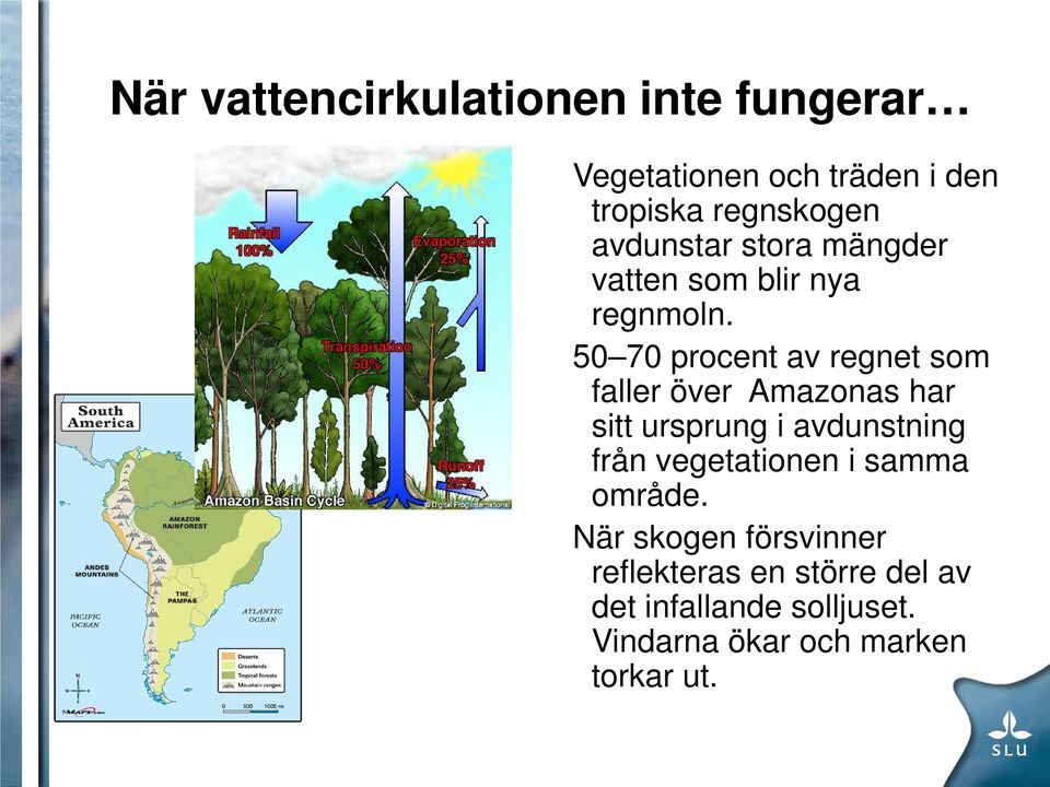 50 70 procent av regnet som faller över Amazonas har sitt ursprung i avdunstning från