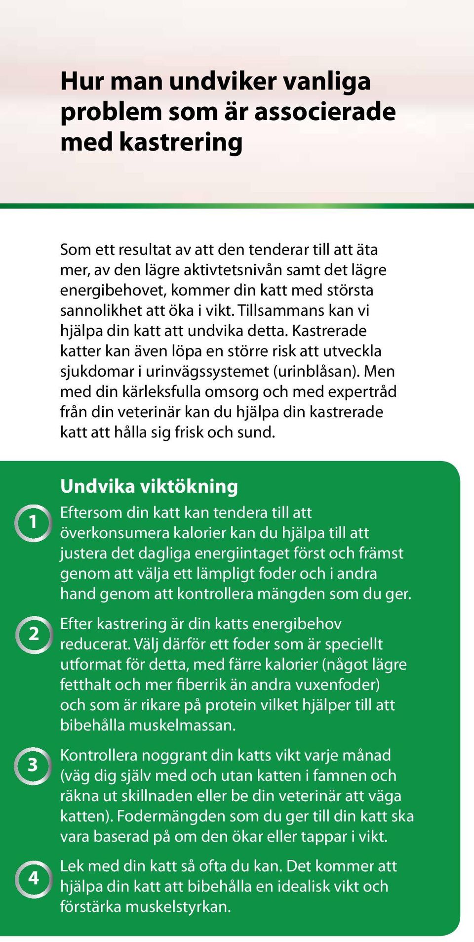 Men med din kärleksfulla omsorg och med expertråd från din veterinär kan du hjälpa din kastrerade katt att hålla sig frisk och sund.