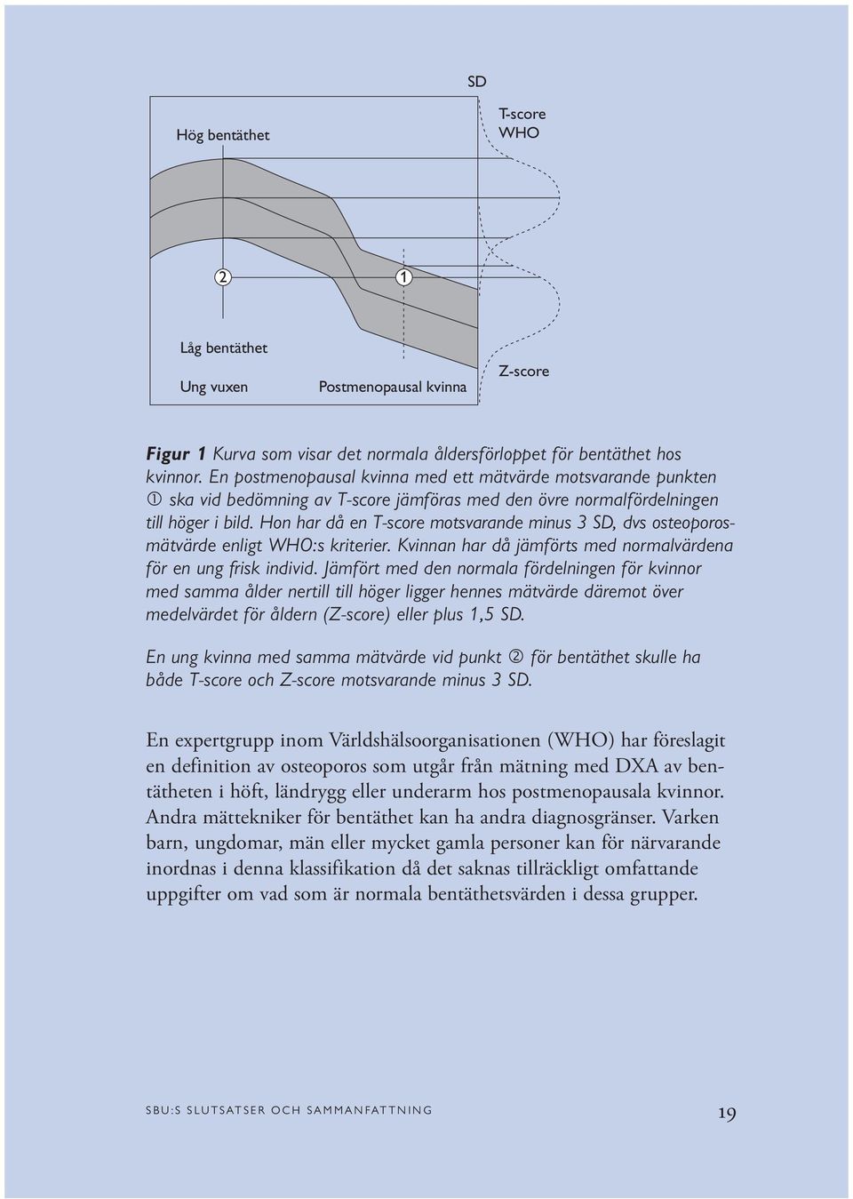 Hon har då en T-score motsvarande minus 3 SD, dvs osteoporosmätvärde enligt WHO:s kriterier. Kvinnan har då jämförts med normalvärdena för en ung frisk individ.