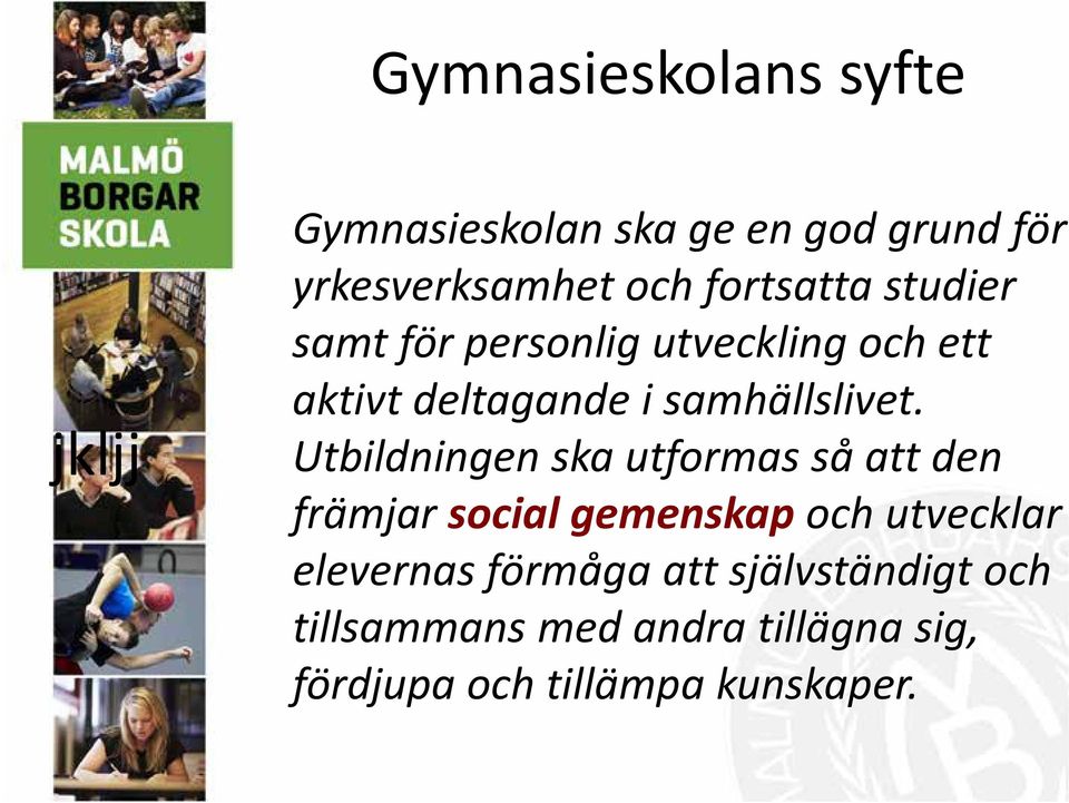 Utbildningen ska utformas så att den främjar social gemenskap och utvecklar elevernas