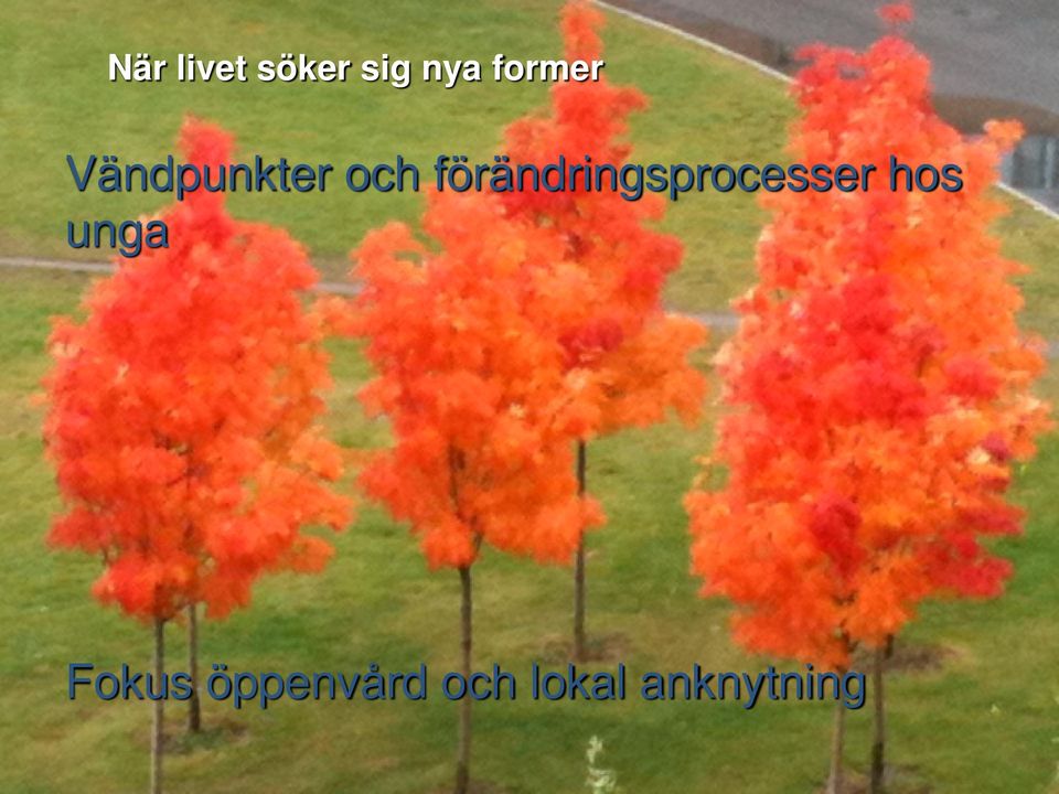 förändringsprocesser hos