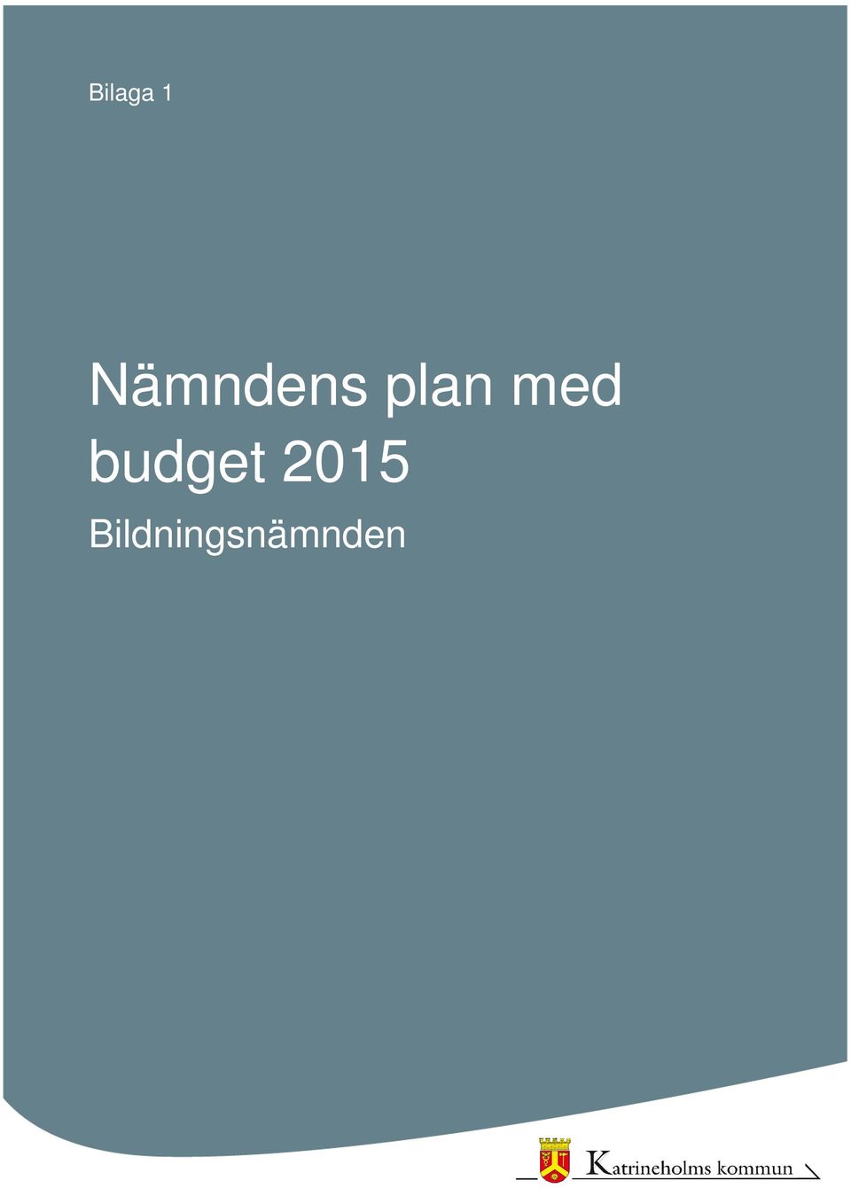 med budget