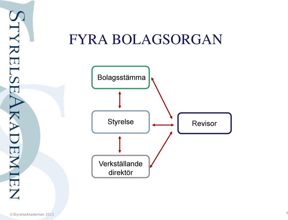 Styrelse Revisor