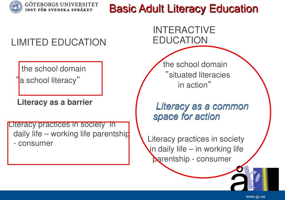 life parentship - consumer the school domain situated literacies in action Literacy as a