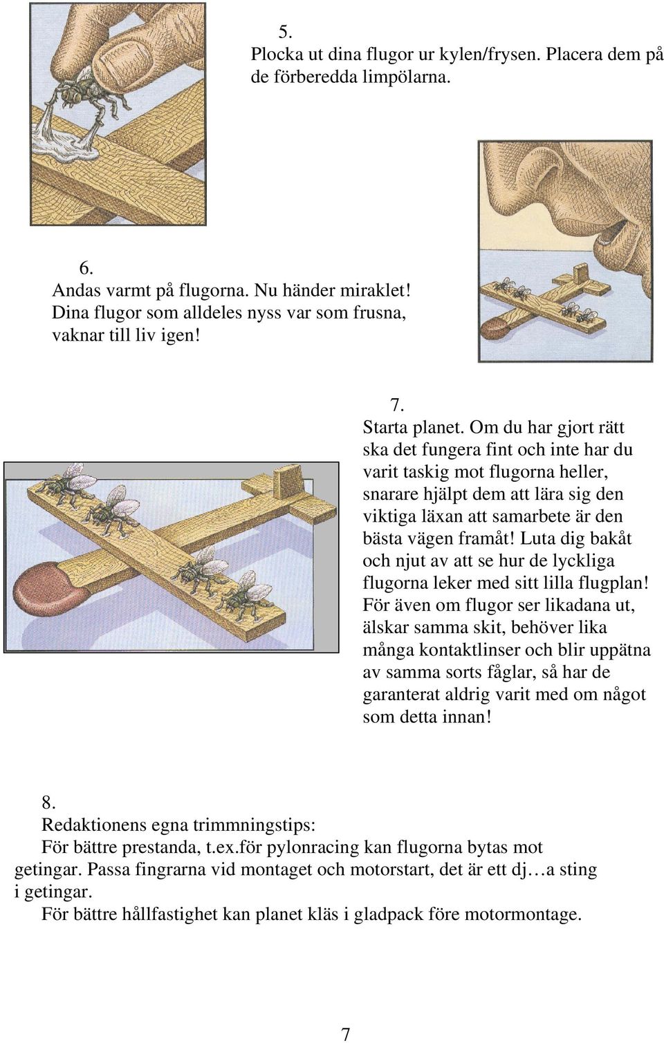 Luta dig bakåt och njut av att se hur de lyckliga flugorna leker med sitt lilla flugplan!