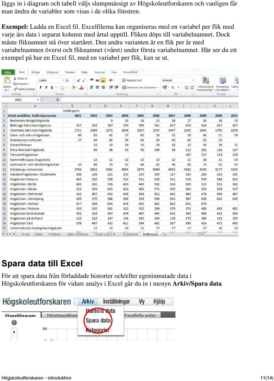 Den andra varianten är en flik per år med variabelnamnen överst och fliknamnet (=året) under första variabelnamnet.