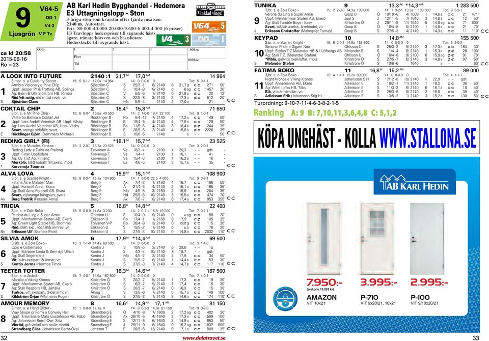 grande hästs ägare, tränare/körsven och hästskötare. ederstäcke till se
