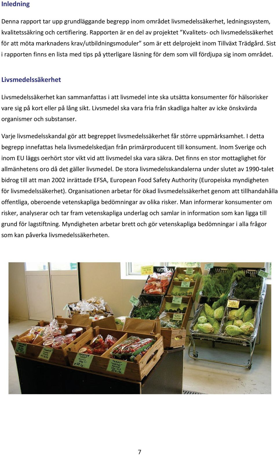 Sist i rapporten finns en lista med tips på ytterligare läsning för dem som vill fördjupa sig inom området.