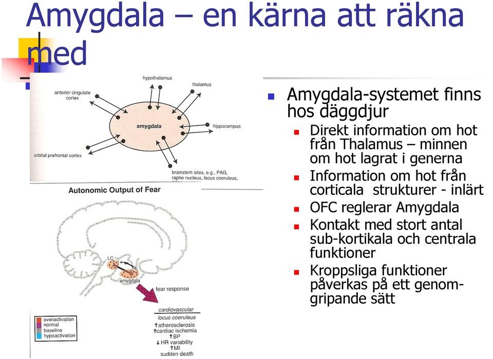 från corticala strukturer - inlärt OFC reglerar Amygdala Kontakt med stort antal