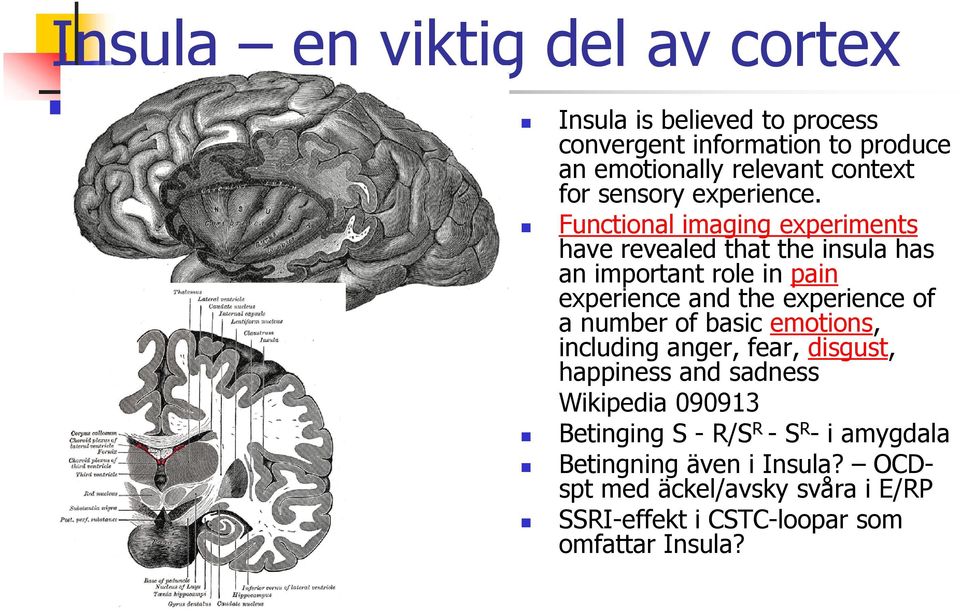 Functional imaging experiments have revealed that the insula has an important role in pain experience and the experience of a