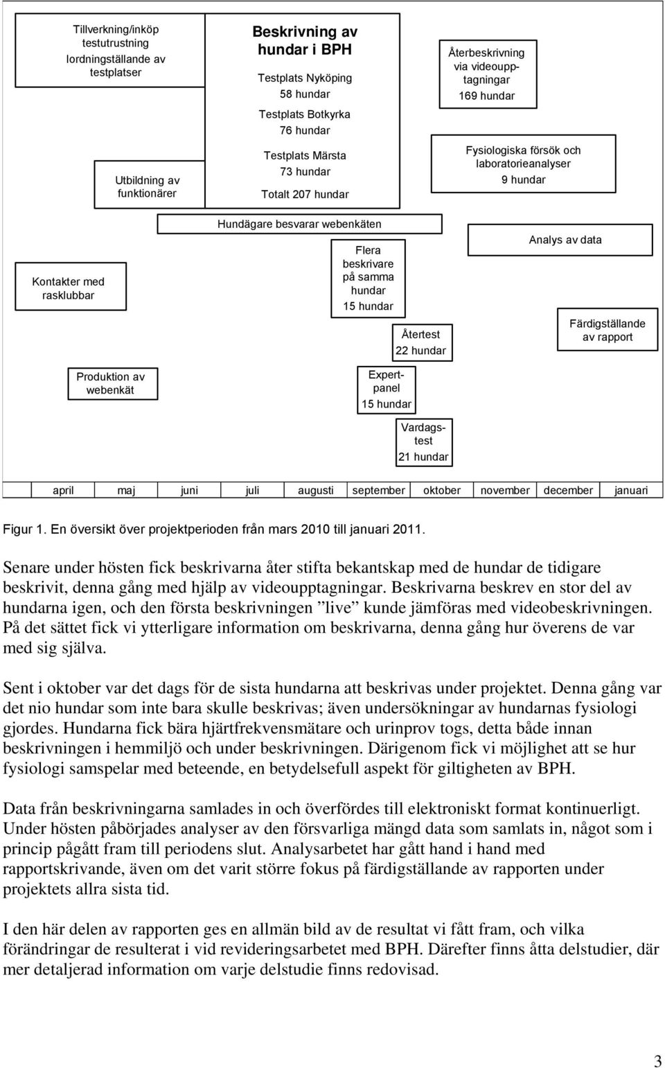 webenkäten Flera beskrivare på samma hundar 15 hundar Expertpanel 15 hundar Återtest 22 hundar Vardagstest 21 hundar Analys av data Färdigställande av rapport april maj juni juli augusti september