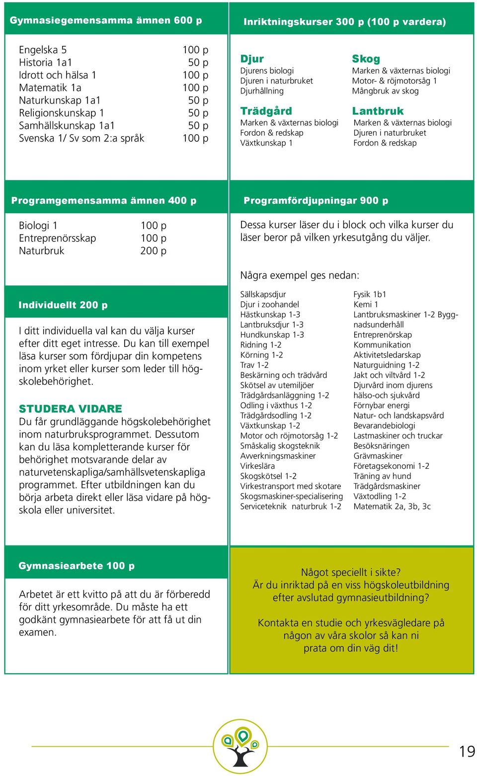 växternas biologi Motor- & röjmotorsåg 1 Mångbruk av skog Lantbruk Marken & växternas biologi Djuren i naturbruket Fordon & redskap Programgemensamma ämnen 400 p Programfördjupningar 900 p Biologi 1
