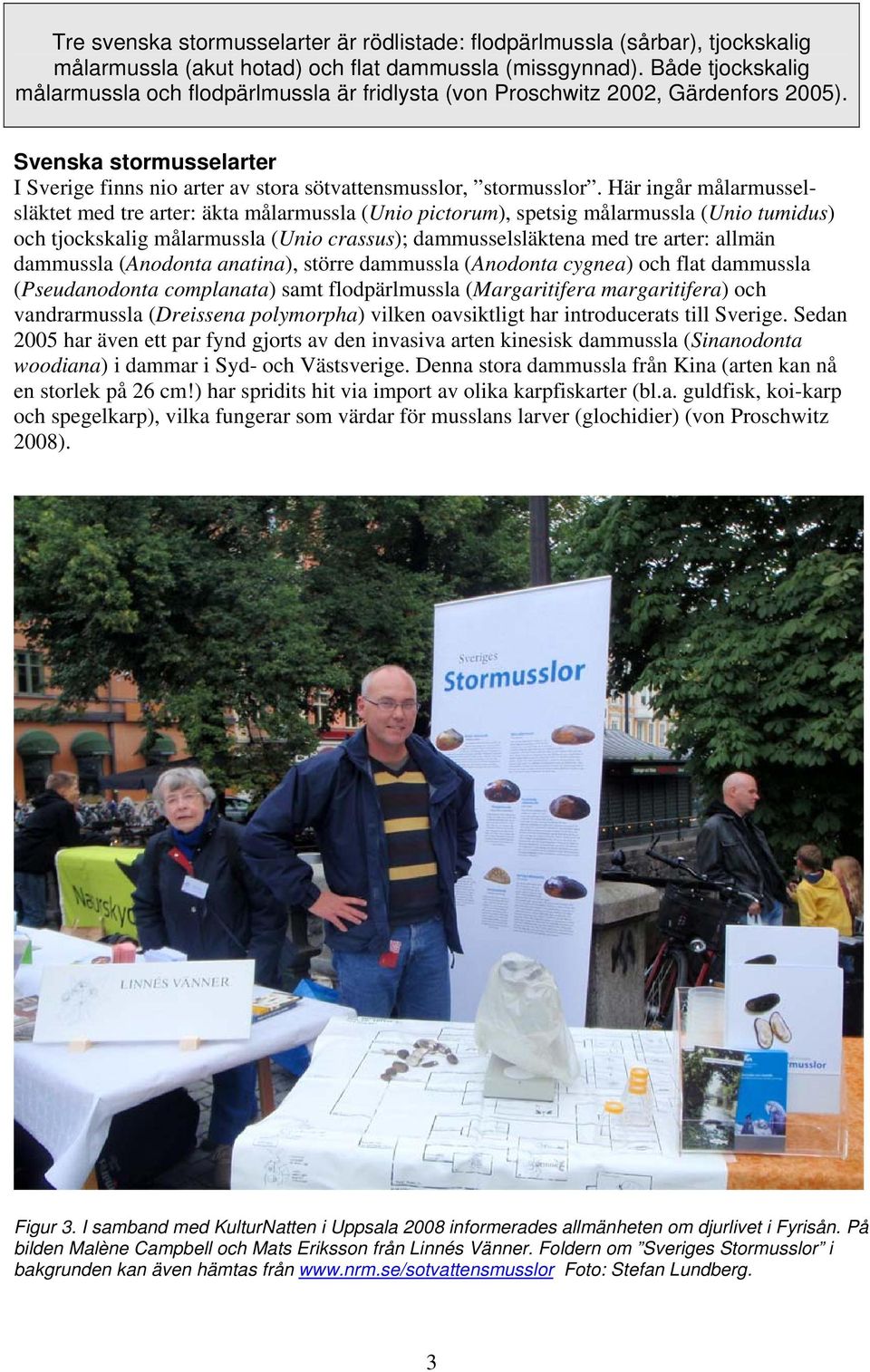 Här ingår målarmusselsläktet med tre arter: äkta målarmussla (Unio pictorum), spetsig målarmussla (Unio tumidus) och tjockskalig målarmussla (Unio crassus); dammusselsläktena med tre arter: allmän