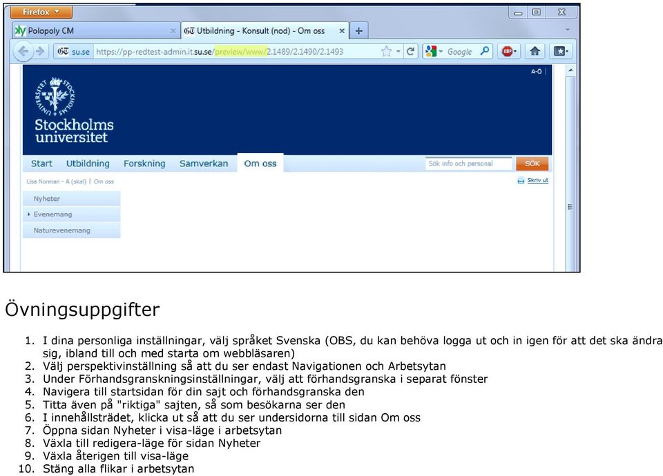 perspektivinställning så att du ser endast Navigationen och Arbetsytan Under Förhandsgranskningsinställningar, välj att förhandsgranska i separat fönster Navigera till startsidan