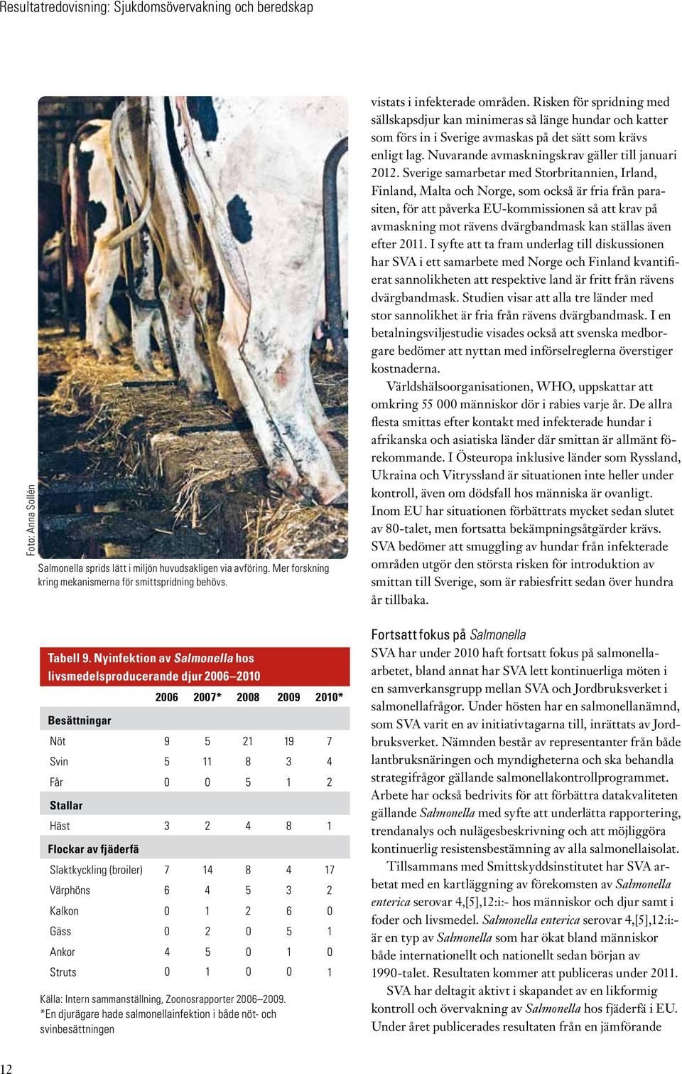 Nyinfektion av Salmonella hos livsmedelsproducerande djur 2006 2010 Besättningar 2006 2007* 2008 2009 2010* Nöt 9 5 21 19 7 Svin 5 11 8 3 4 Får 0 0 5 1 2 Stallar Häst 3 2 4 8 1 Flockar av fjäderfä