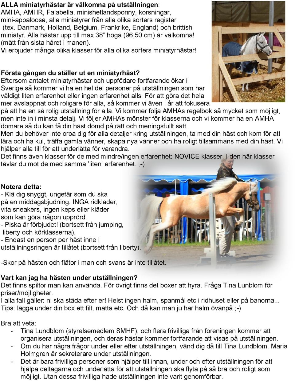 Vi erbjuder många olika klasser för alla olika sorters miniatyrhästar! Första gången du ställer ut en miniatyrhäst?