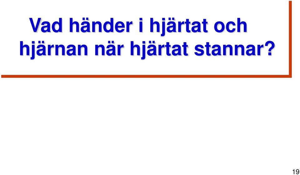 hjärnan när