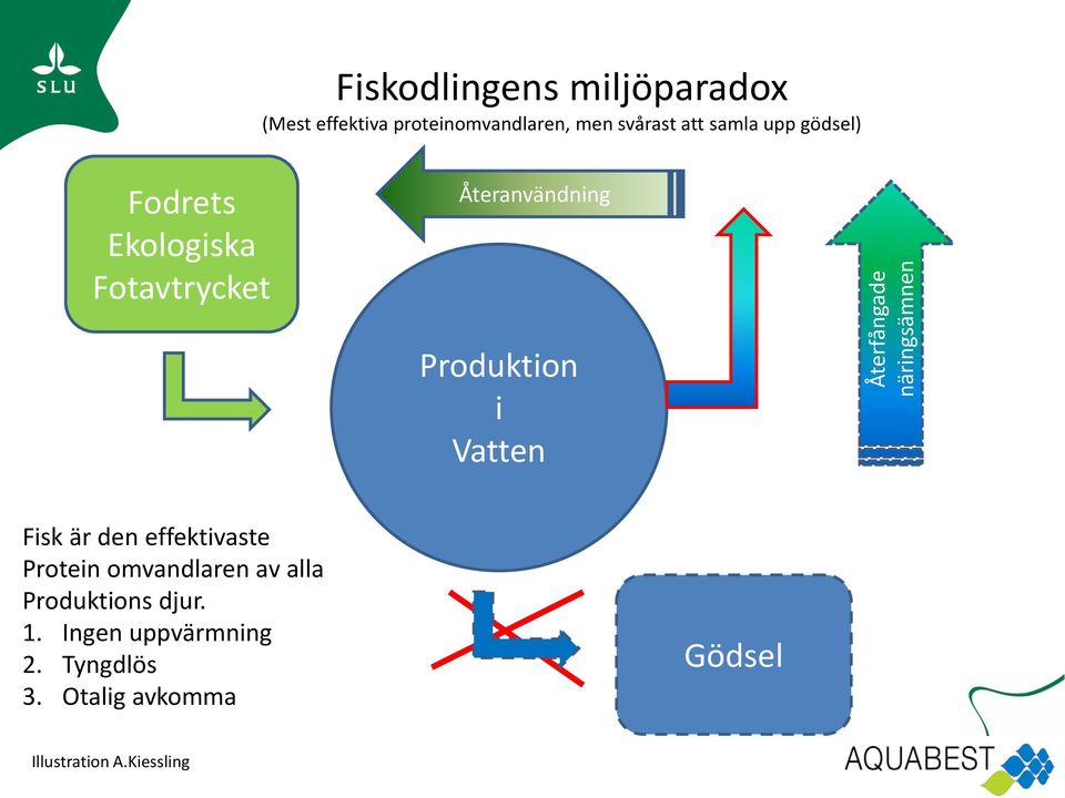 Återanvändning Produktion i Vatten Fisk är den effektivaste Protein omvandlaren av