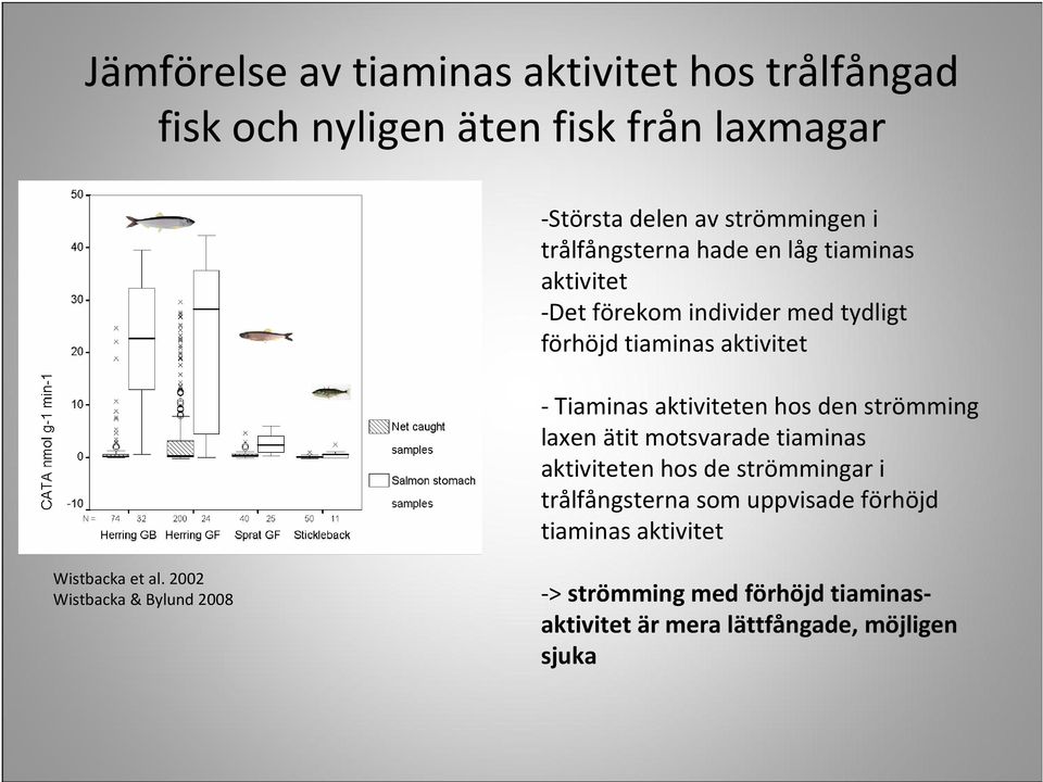 aktiviteten hos den strömming laxen ätit motsvarade tiaminas aktiviteten hos de strömmingar i trålfångsterna som uppvisade