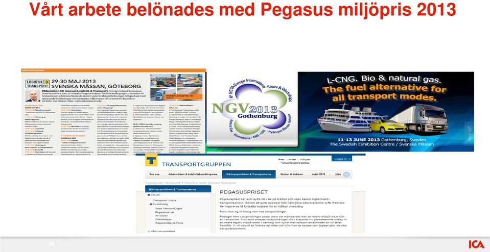 med Pegasus