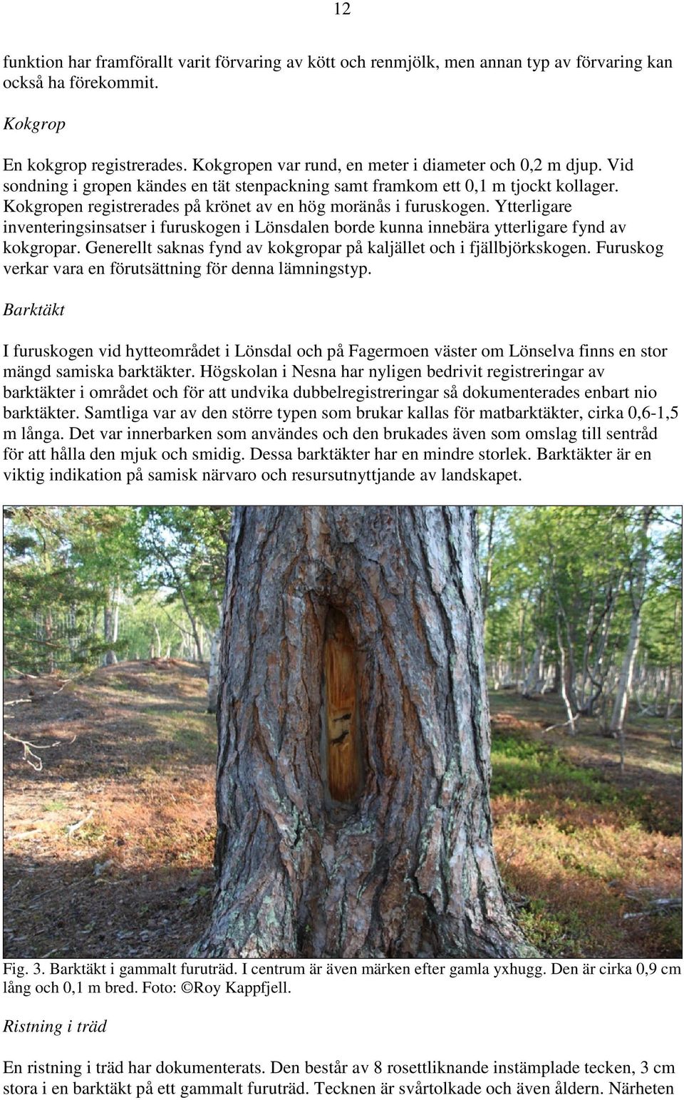 kan forskarna använda Radiocarbon Dating för att hitta en ålder av en mycket lång gammal Redwood träd