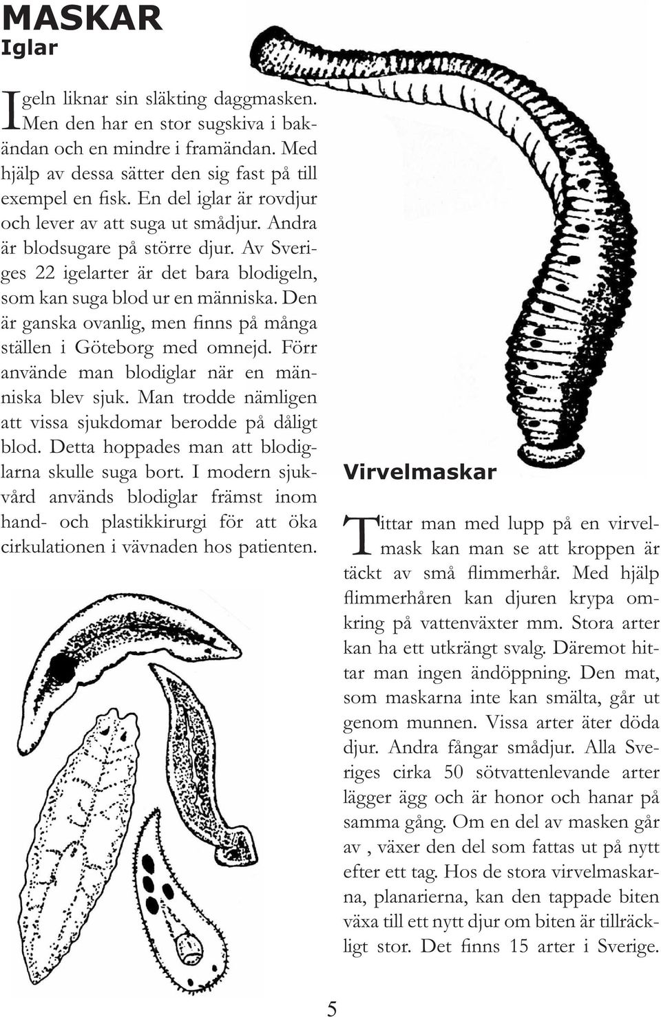 Den är ganska ovanlig, men finns på många ställen i Göteborg med omnejd. Förr använde man blodiglar när en människa blev sjuk. Man trodde nämligen att vissa sjukdomar berodde på dåligt blod.