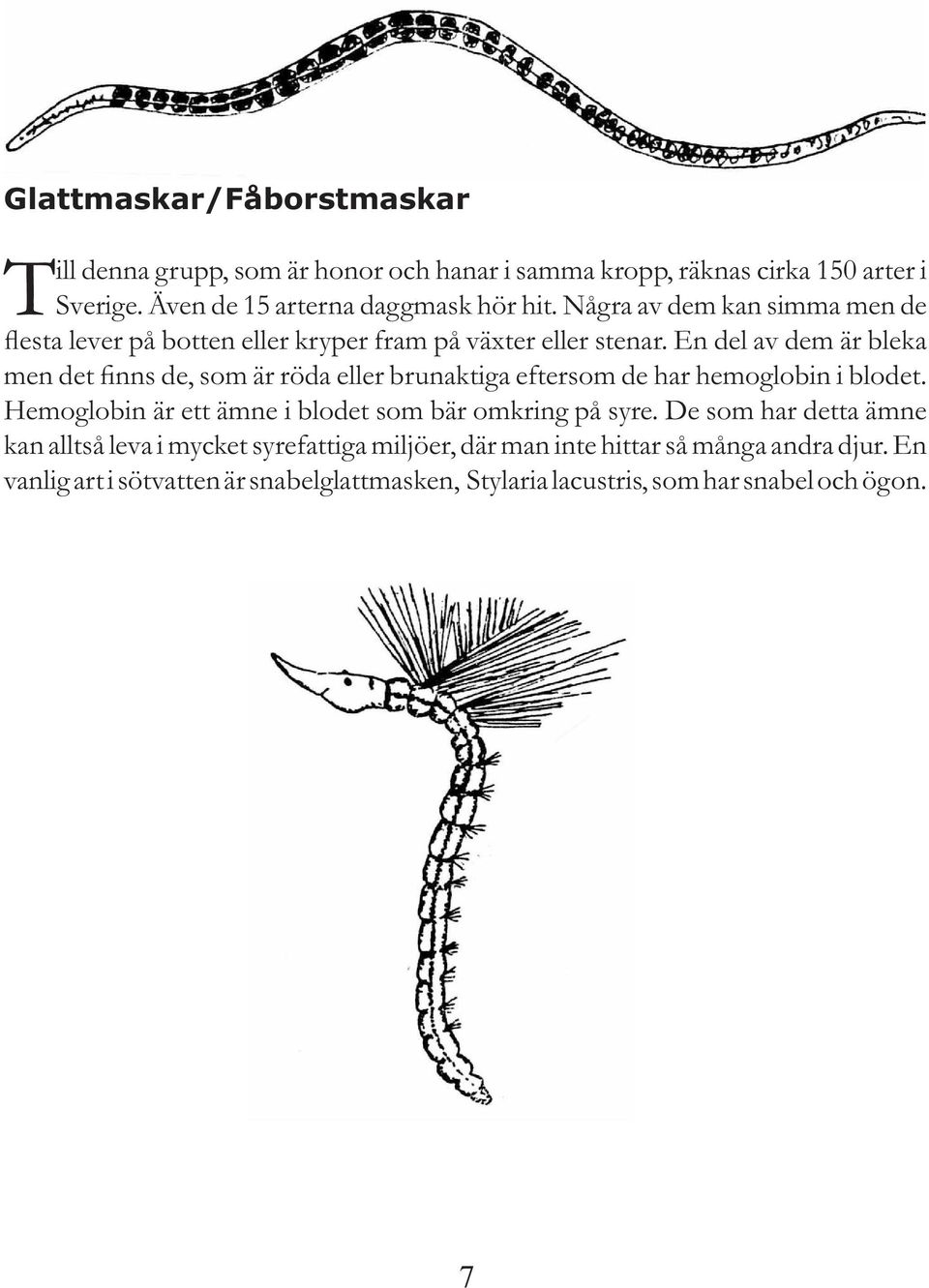 En del av dem är bleka men det finns de, som är röda eller brunaktiga eftersom de har hemoglobin i blodet.