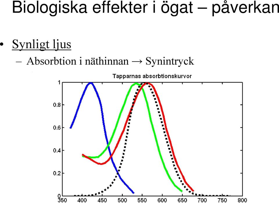 Synligt ljus