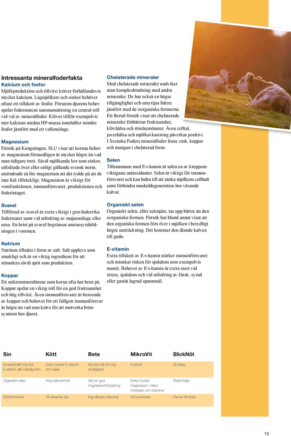 Klöver tillför exempelvis mer kalcium medan HP-massa innehåller mindre fosfor jämfört med ett vallensilage.