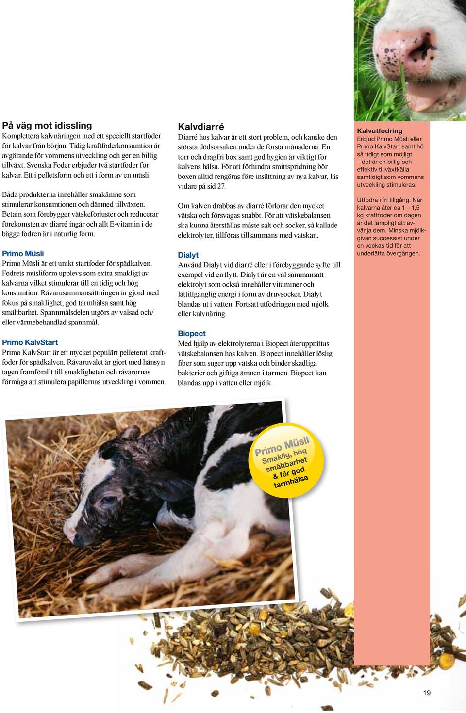 Betain som förebygger vätskeförluster och reducerar förekomsten av diarré ingår och allt E-vitamin i de bägge fodren är i naturlig form. Primo Müsli Primo Müsli är ett unikt startfoder för spädkalven.
