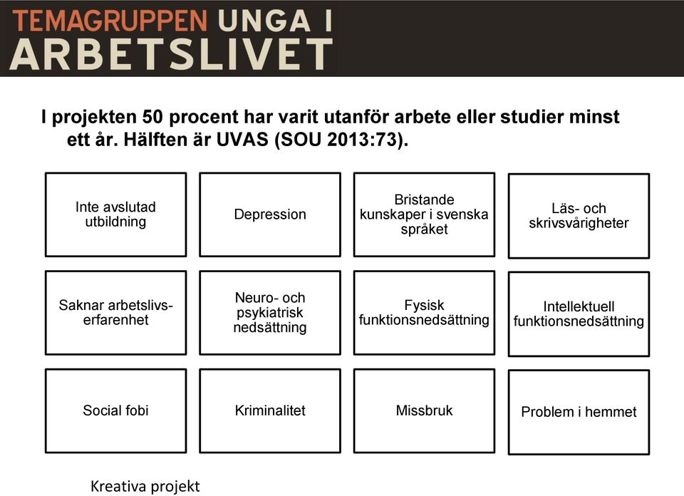 Inte avslutad utbildning Depression Bristande kunskaper i svenska språket Läs- och skrivsvårigheter