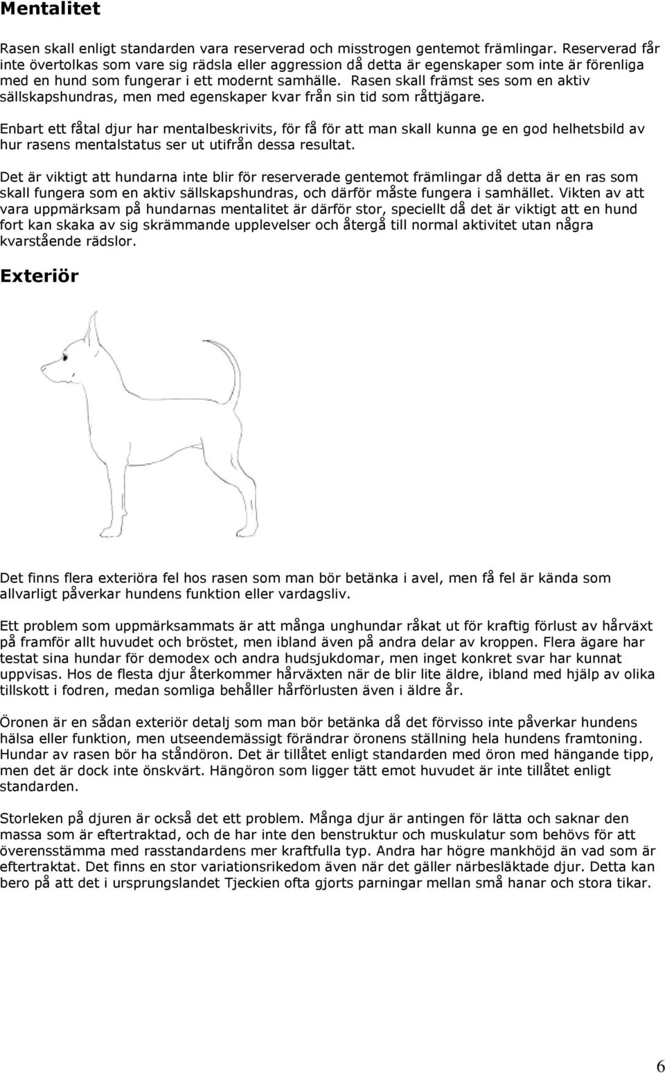 Rasen skall främst ses som en aktiv sällskapshundras, men med egenskaper kvar från sin tid som råttjägare.