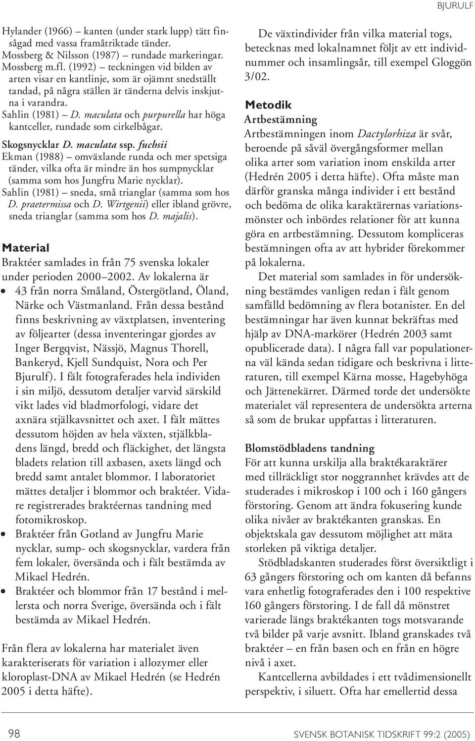maculata och purpurella har höga kantceller, rundade som cirkelbågar. Skogsnycklar D. maculata ssp.