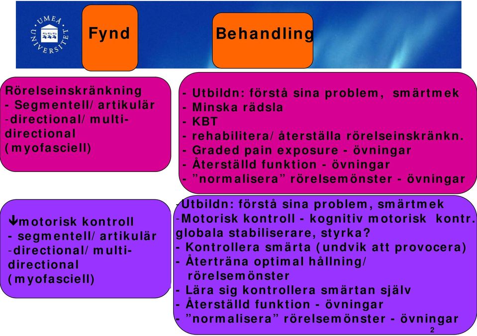 - Graded pain exposure - övningar - Återställd funktion - övningar - normalisera rörelsemönster - övningar -Utbildn: förstå sina problem, smärtmek -Motorisk kontroll - kognitiv