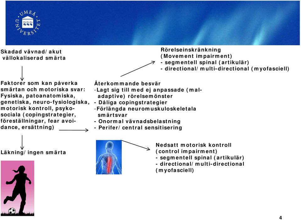 copingstrategier -Förlängda neuromuskuloskeletala smärtsvar - Onormal vävnadsbelastning - Perifer/central sensitisering Rörelseinskränkning (Movement impairment) - segmentell