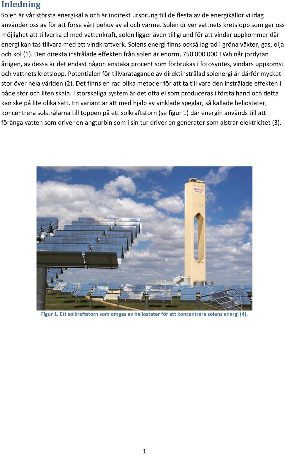 Solens energi finns också lagrad i gröna växter, gas, olja och kol (1).